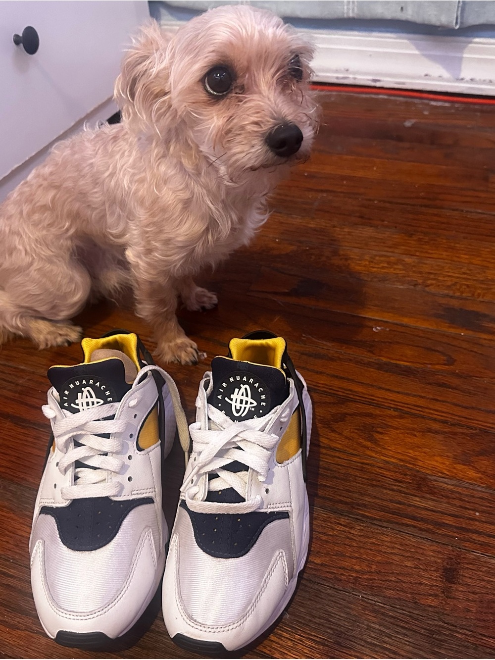 2022 Nike Air Huarache 'Michigan'